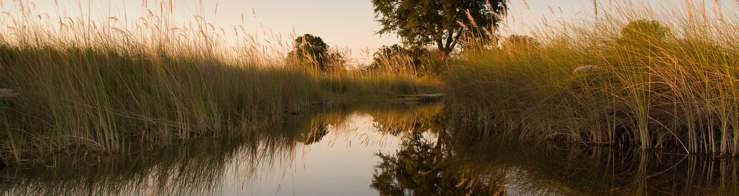 Safari Club - Okavango-Delta