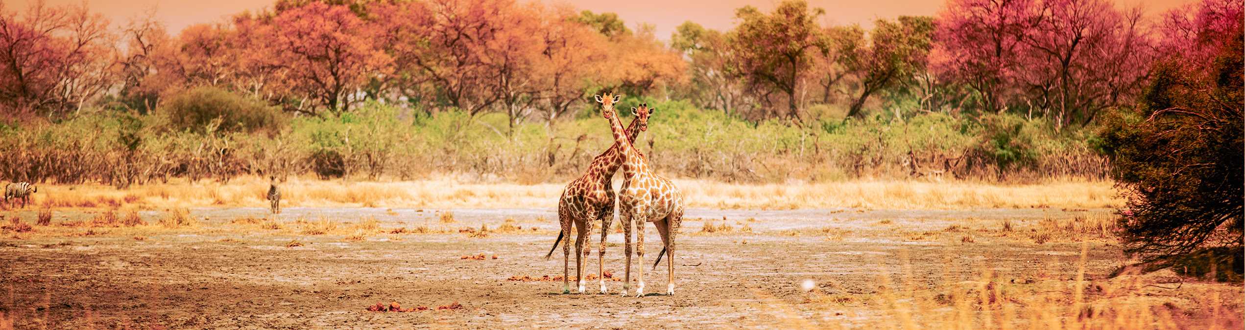 Safari Club - Zambia_Kafue_National_Park