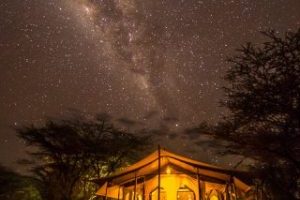 Safari Club - The Wonders of Kenya