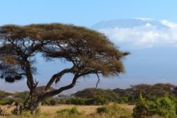 Safari Club - Kenya Amboseli Mt Kilimanjaro