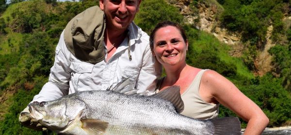 Safari Club - Nile perch catch and release Murchison Falls