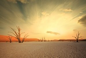 Safari Club - Namib Nakluft