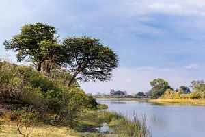 Safari Club - Namibia Caprivi Strip