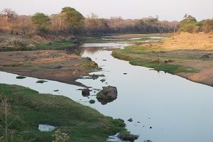 Safari Club - Tanzania Ruaha National Park