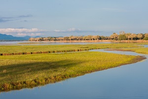 Safari Club - Zimbabwe Zambezi River