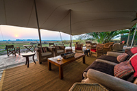 Safari Club Classic Accommodation - Busanga-Bush-Camp