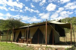 Safari Club Entry Accommodation - Enkewa-Mara-Camp