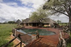 Safari Club Premium Accommodation - Okonjima Villa