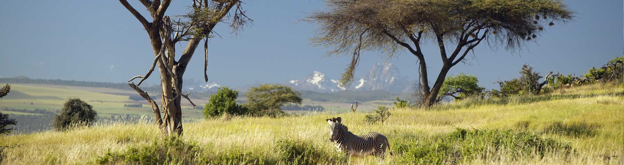 Safari Club - Kenya_Lewa Downs