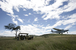 Safari Club - Wings_over_the_Serengeti