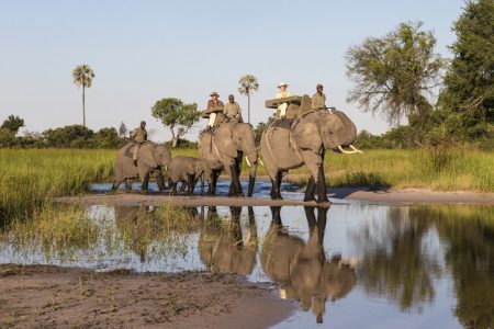 Safari Club - Elephant-back Safari
