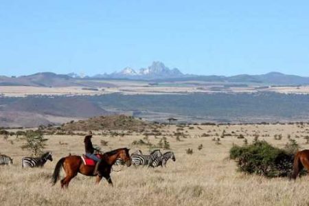 Safari Club - Horse-riding with plains game