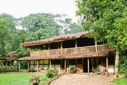 Safari Club Entry Accommodation - Buhoma-Lodge-Uganda