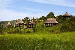 Safari Club Premium Accommodation - Clouds-Mountain-Gorilla-Lodge-Uganda