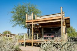 Safari Club Premium Accommodation - Kalahari_Plains_Camp