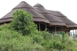 Safari Club Classic Accommodation - Kasenyi-Safari-Camp-Uganda