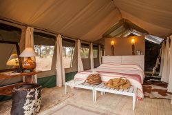 Safari Club Premium Accommodation - Kuro_Tarangire_Camp