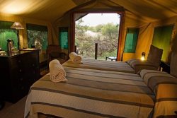 Safari Club Classic Accommodation - Mashatu_Tented_Camp