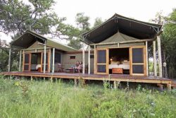 Safari Club Classic Accommodation - Motswiri_Camp