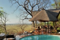 Safari Club Entry Accommodation - Muchenje_Safari_Lodge