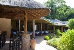 Safari Club Entry Accommodation - Primate-Lodge-Kibale-Forest