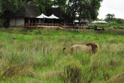 Safari Club Premium Accommodation - Sanctuary_Chiefs_Camp