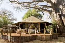 Safari Club Premium Accommodation - Sanctuary_Swala_Camp