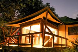 Safari Club Entry Accommodation - Tuli_Lodge