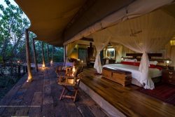 Safari Club Premium Accommodation - Zarafa_Camp