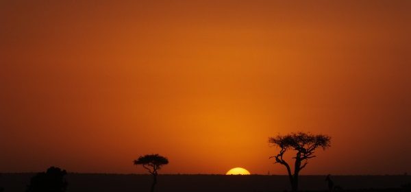 Safari Club - African sun-set Kenya