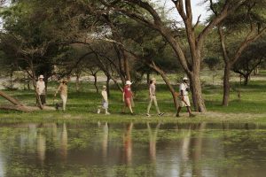 Safari Club - Guided Family Bushwalk Footsteps Young Exploreres