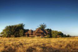 Safari Club Classic Accommodation - Chobe_Savanna_Lodge