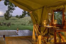 Safari Club Classic Accommodation - Elephant_Pepper_Camp