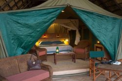Safari Club Entry Accommodation - Flatdogs_Camp