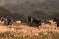 Safari Club Entry Accommodation - Horizon_Horseback_Safaris_
