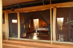 Safari Club Entry Accommodation - Ikweta_Safar_Camp
