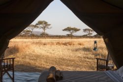 Safari Club Entry Accommodation - Kati_Kati_Tented_Camp