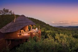 Safari Club Classic Accommodation - Madikwe_Safari_Lodge
