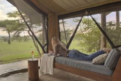 Safari Club Premium Accommodation - Naboisho_Camp