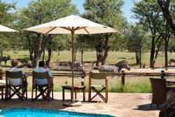 Safari Club Classic Accommodation - Ongava_Tented_Camp_Wilderness_Safari