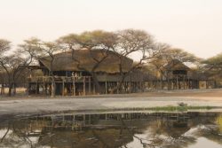 Safari Club Classic Accommodation - Onguma_Tree_Top_Camp