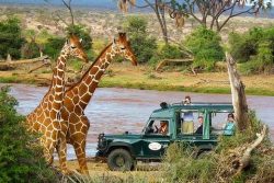 Safari Club Entry Accommodation - Samburu_Intrepids