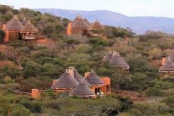 Safari Club Premium Accommodation - Thanda_Safari_Lodge