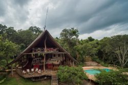 Safari Club Premium Accommodation - Tongole-Wilderness-Lodge