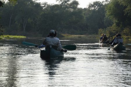Canoeing patrol Lower Zambezi