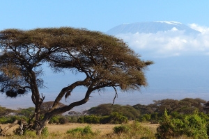 Safari Club Tours - Kenya Amboseli Mt Kilimanjaro
