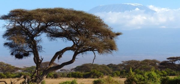 Safari Club - Mount Kilimanjaro