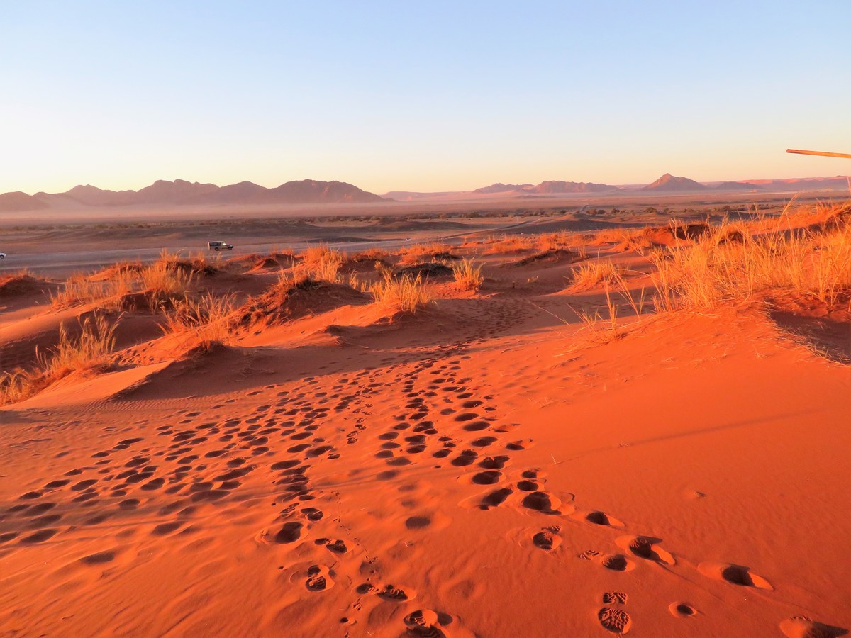Red Dunes of Namib Desert
