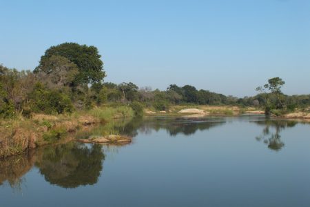 Reflective water Limpopo