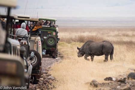 Rhino came close in Ngorongoro Crater